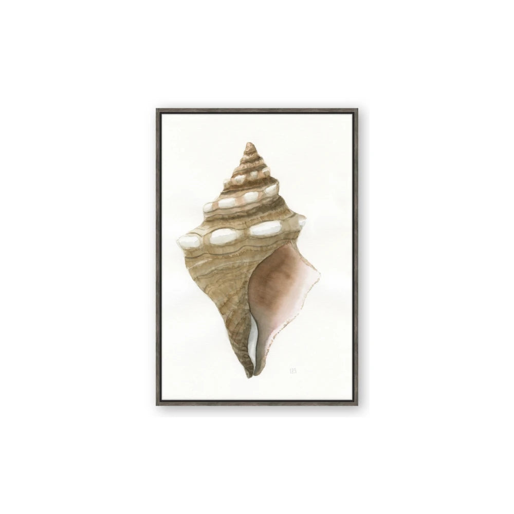 Sea Shell I