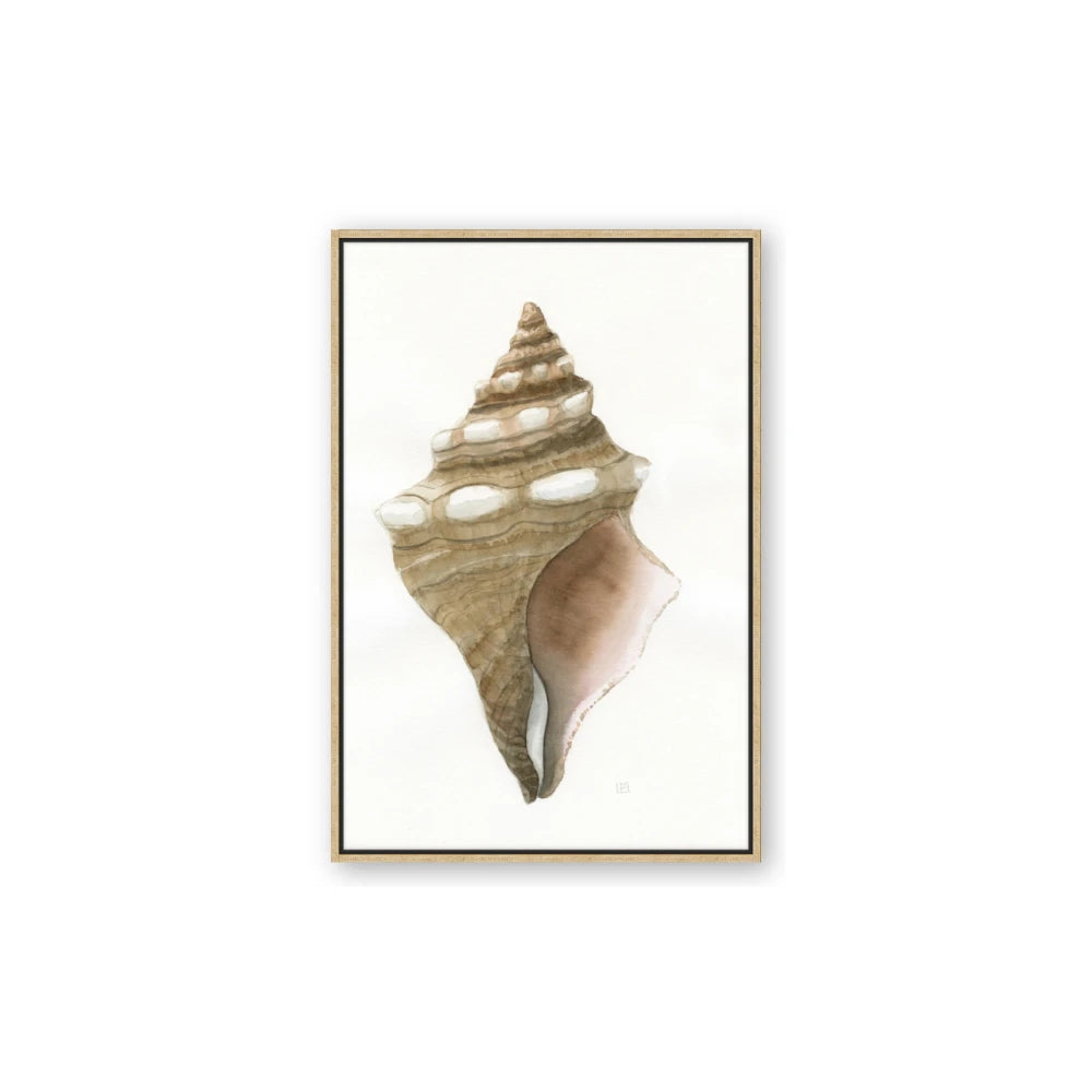 Sea Shell I