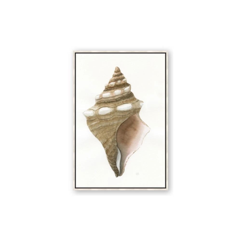 Sea Shell I
