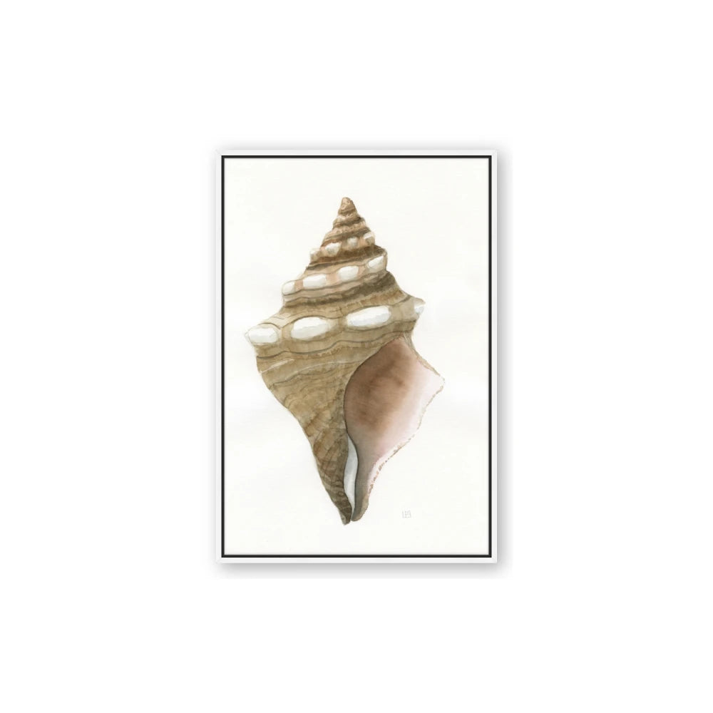 Sea Shell I
