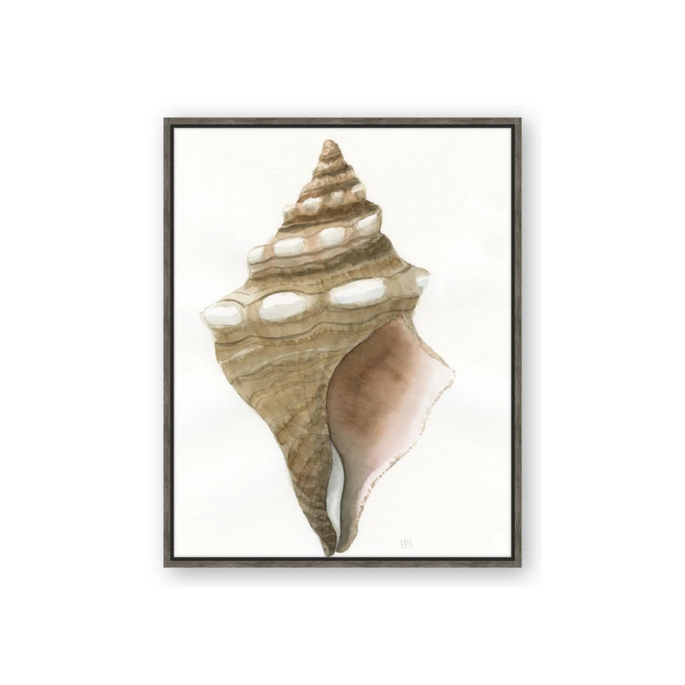 Sea Shell I