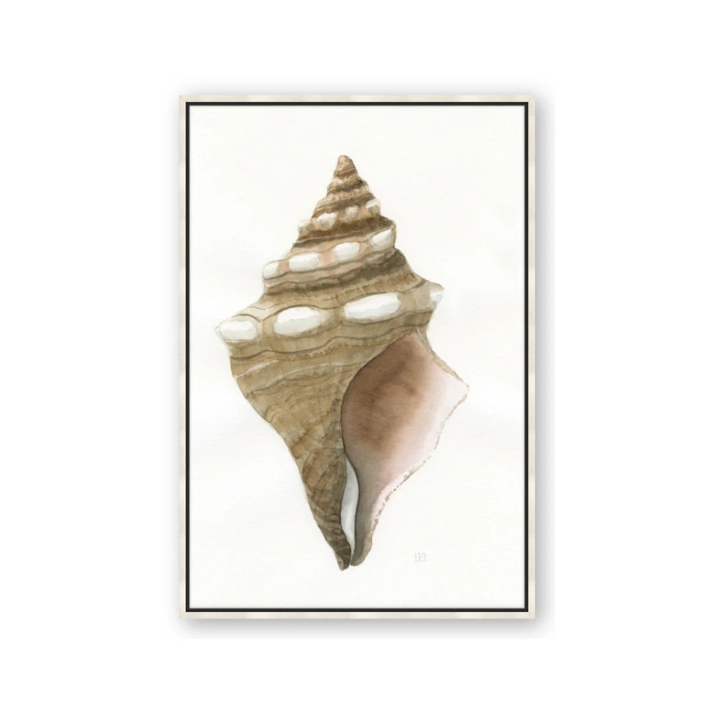 Sea Shell I