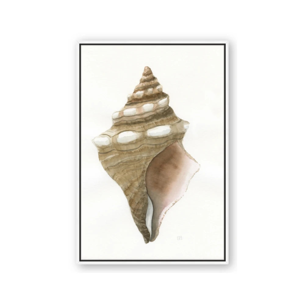 Sea Shell I