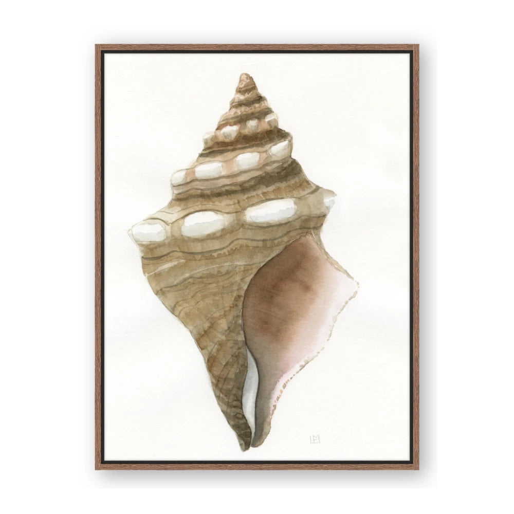 Sea Shell I