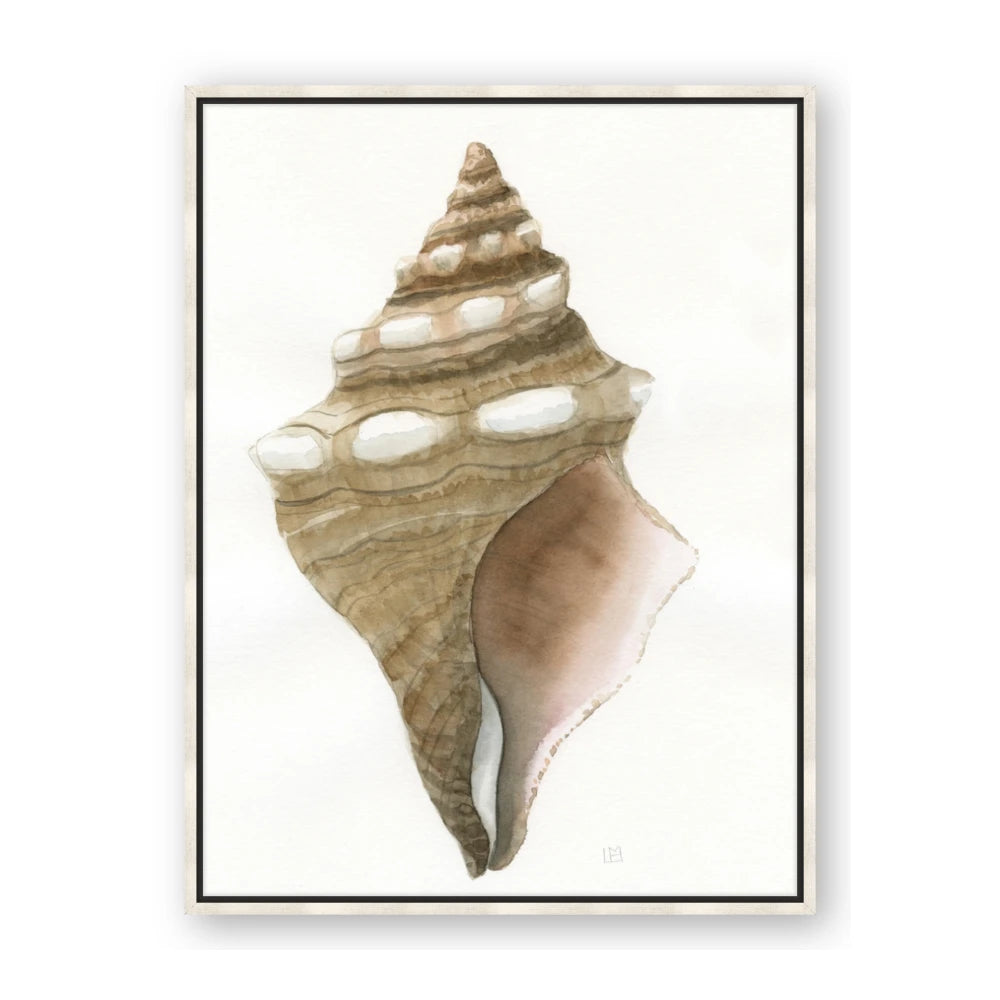 Sea Shell I