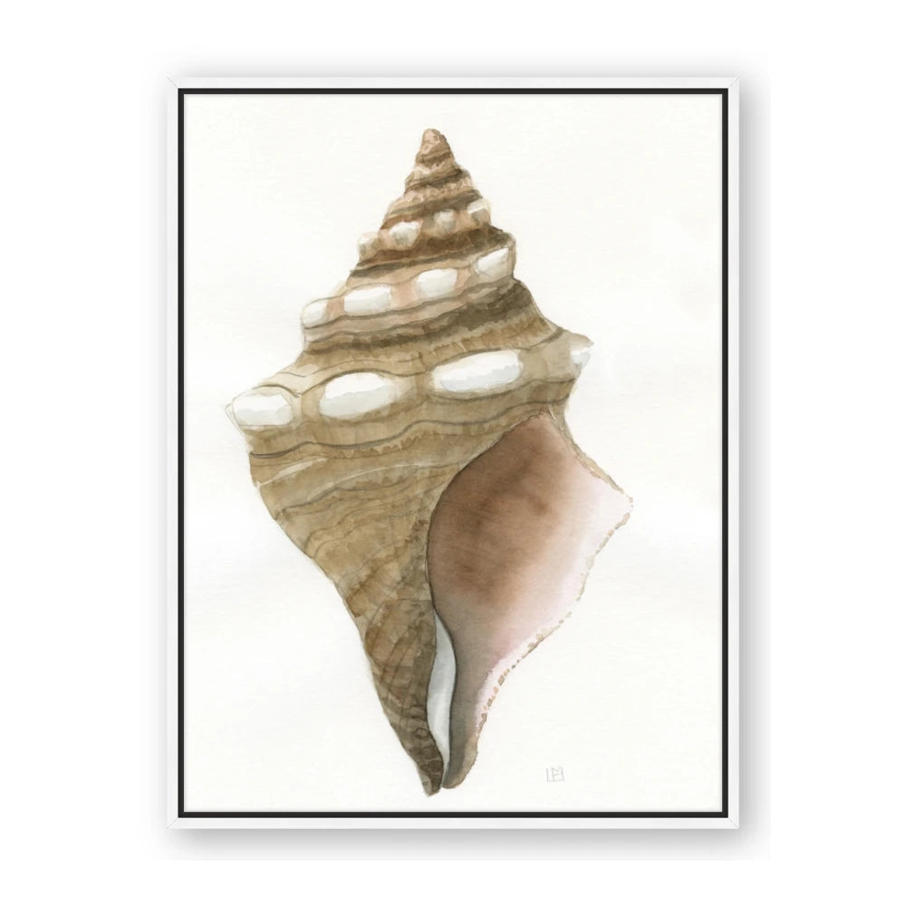 Sea Shell I