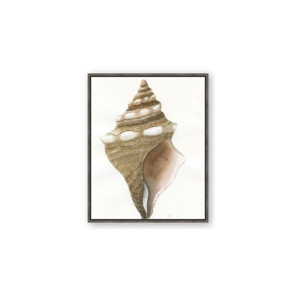 Sea Shell I