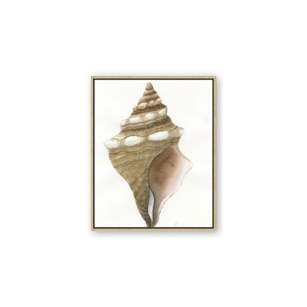 Sea Shell I
