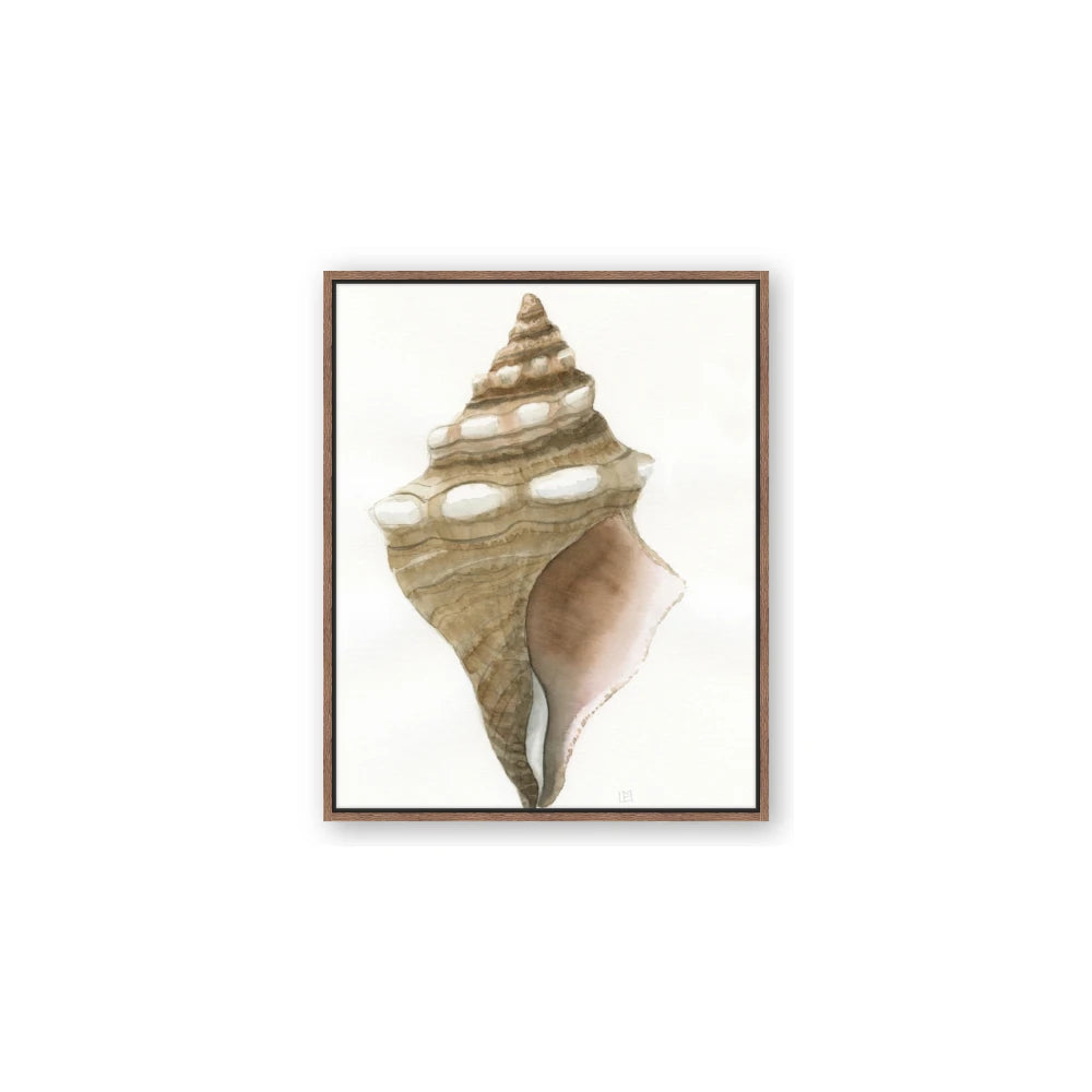 Sea Shell I