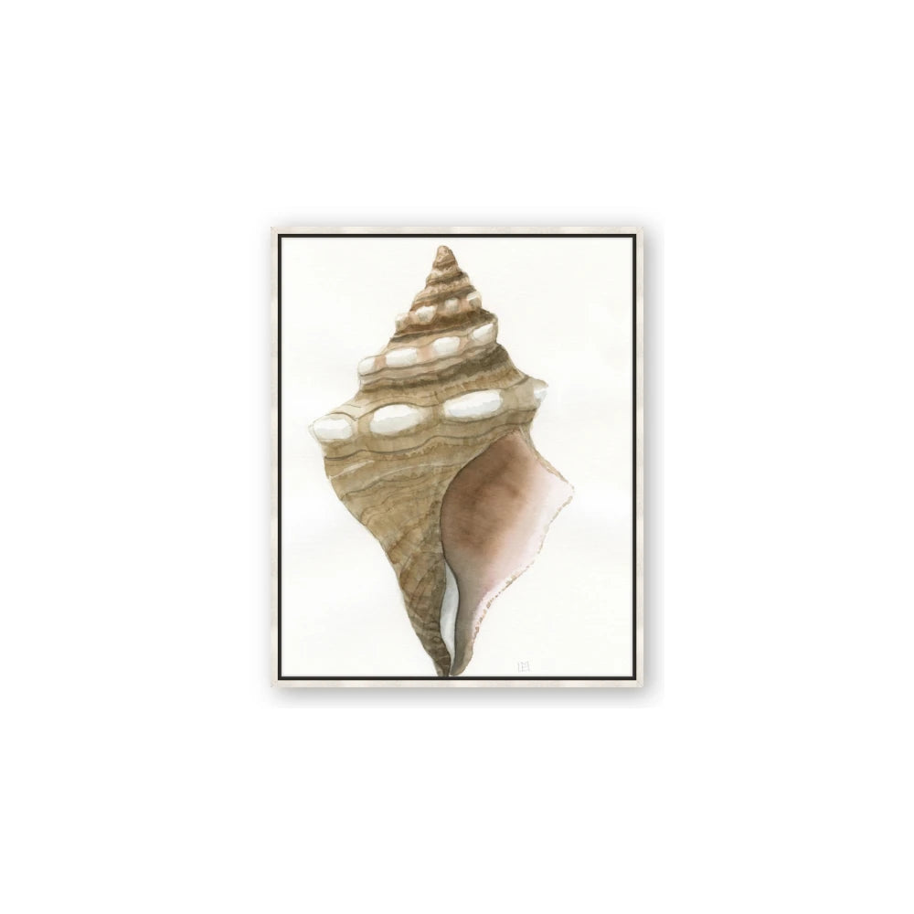 Sea Shell I