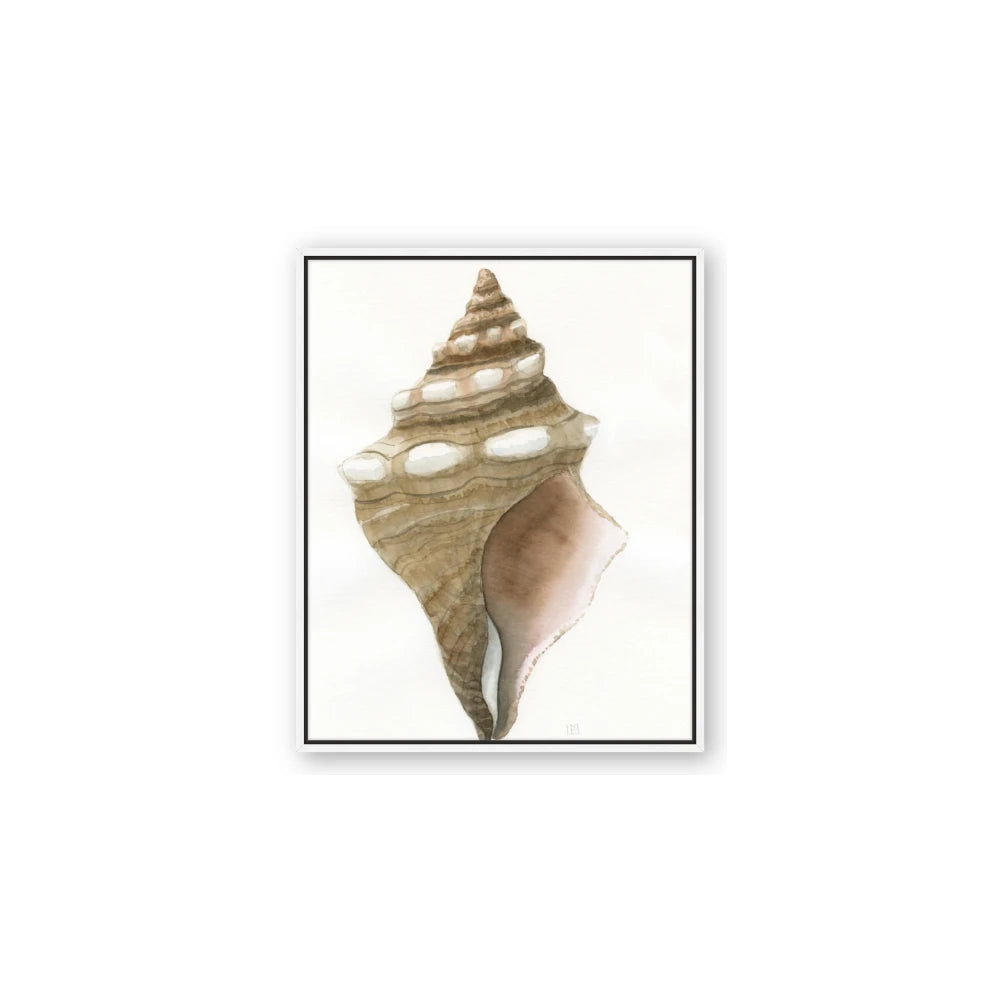 Sea Shell I