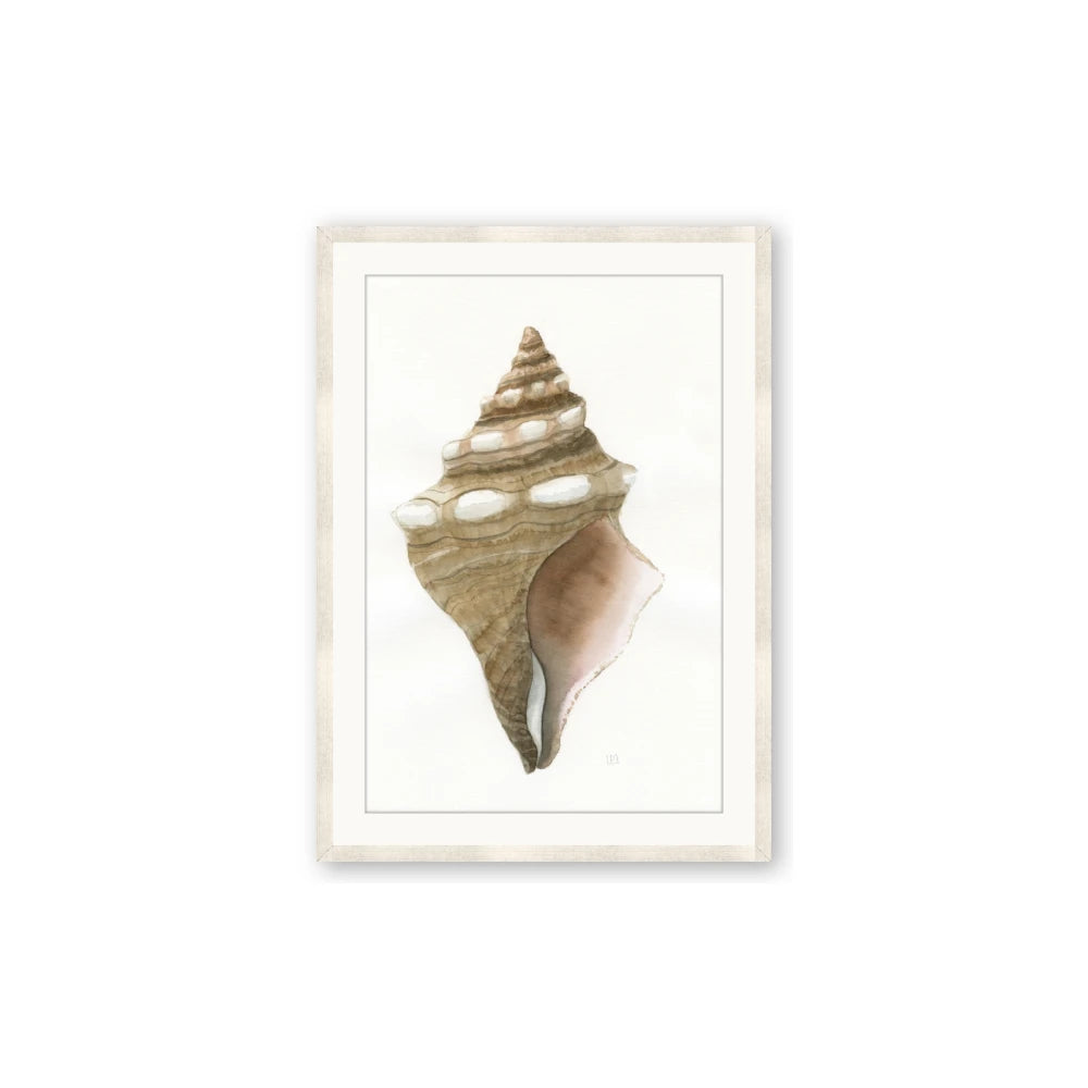 Sea Shell I