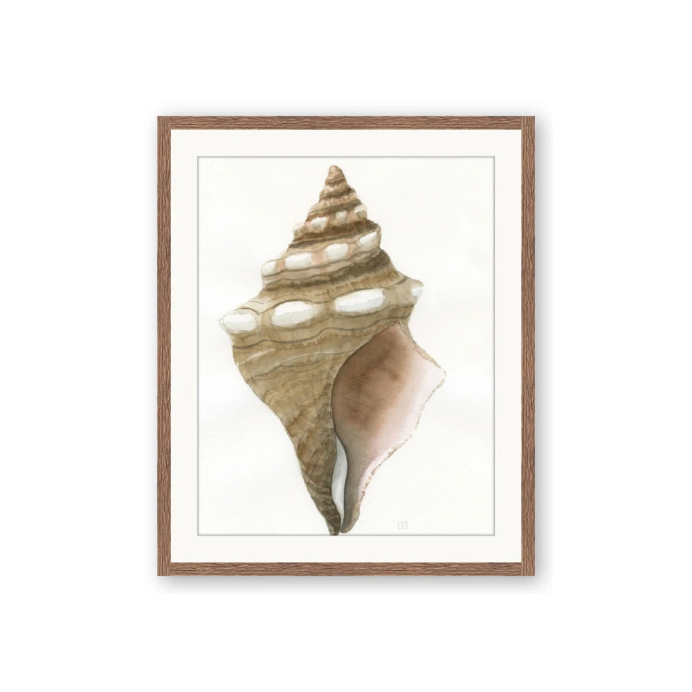 Sea Shell I