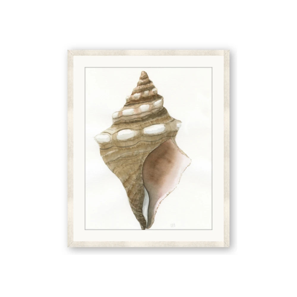 Sea Shell I