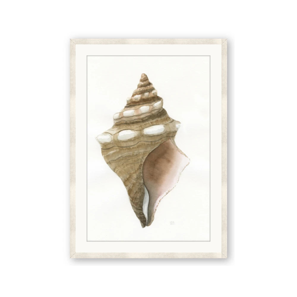 Sea Shell I