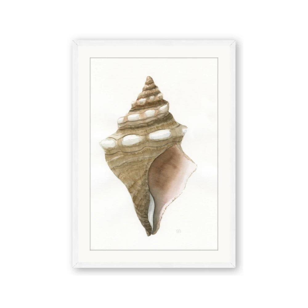 Sea Shell I