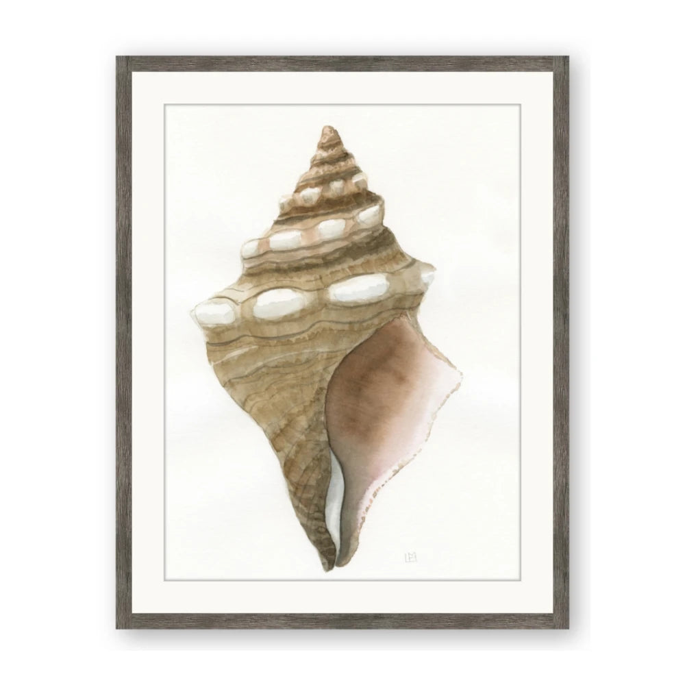 Sea Shell I