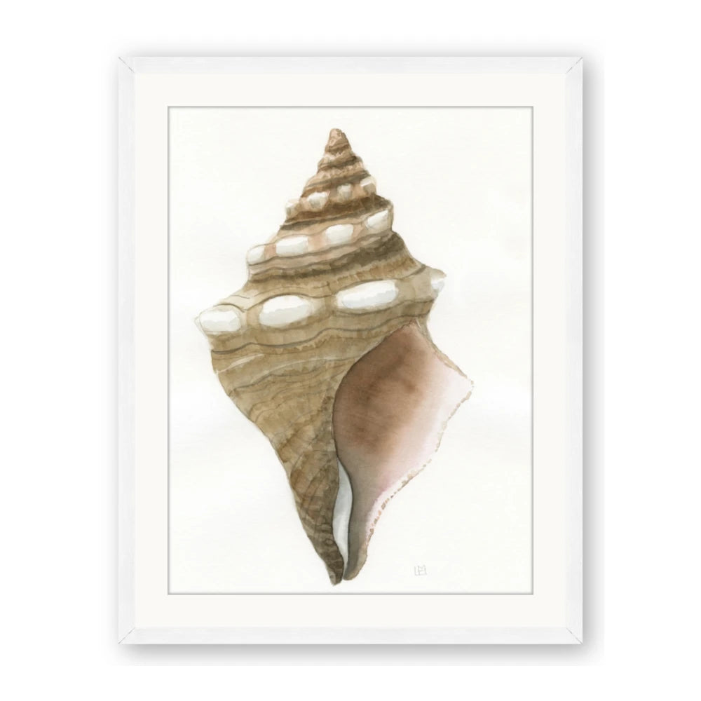 Sea Shell I