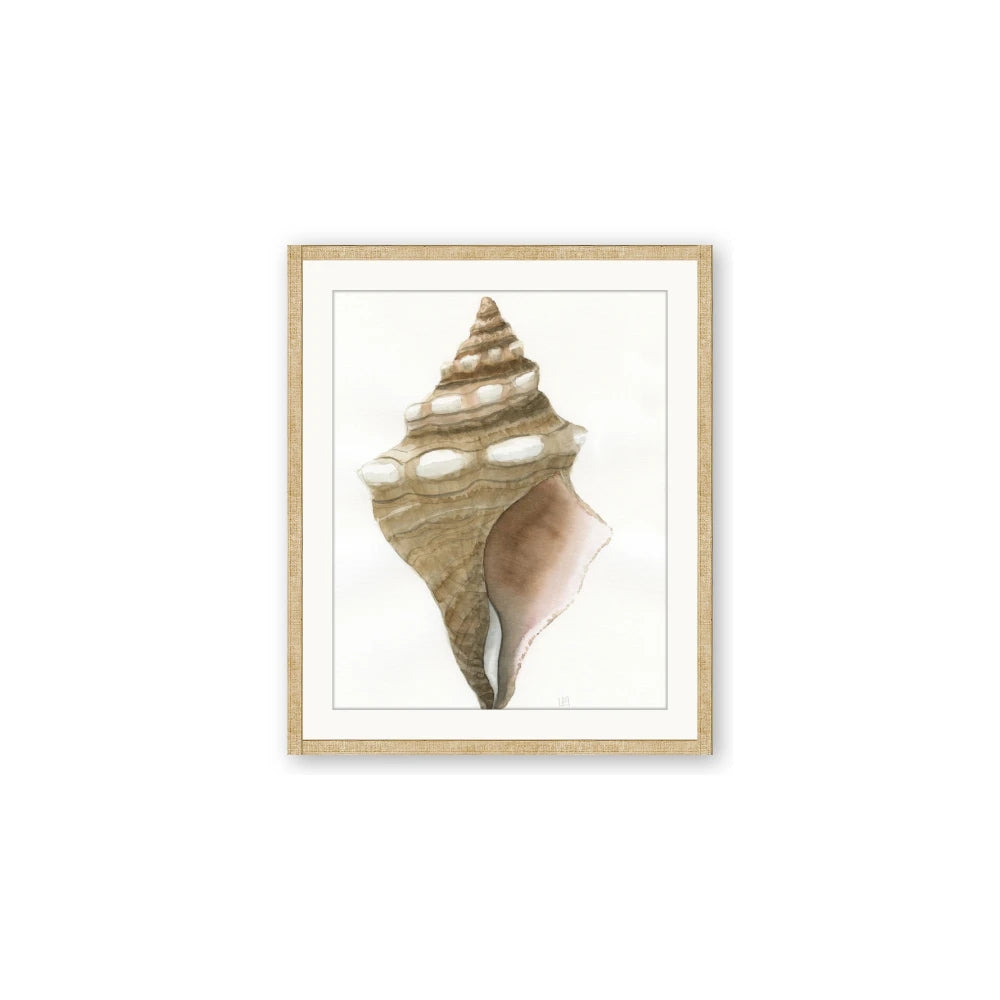 Sea Shell I