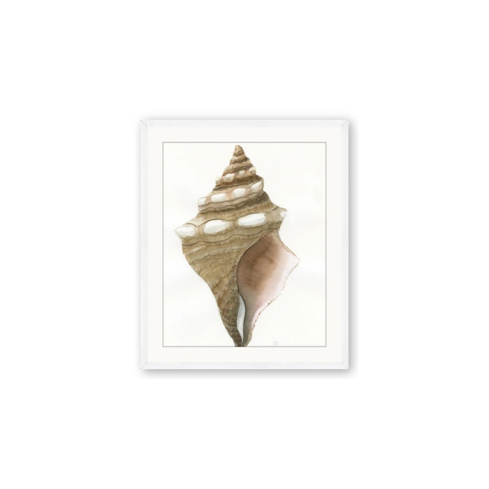 Sea Shell I