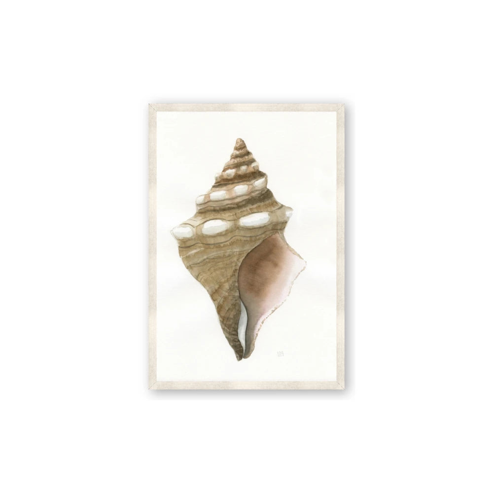 Sea Shell I