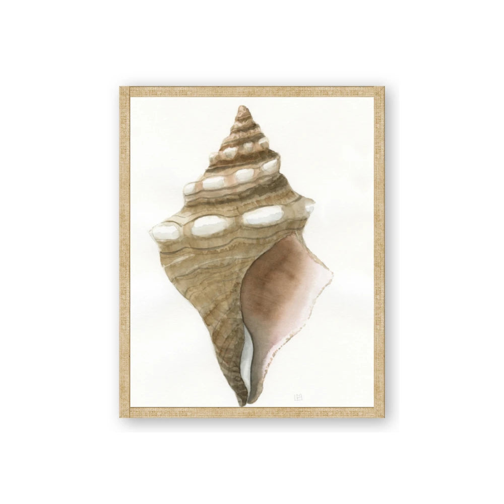 Sea Shell I