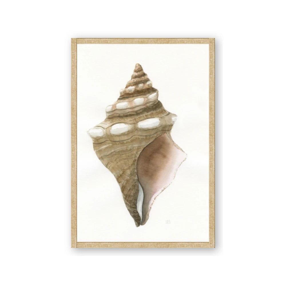 Sea Shell I