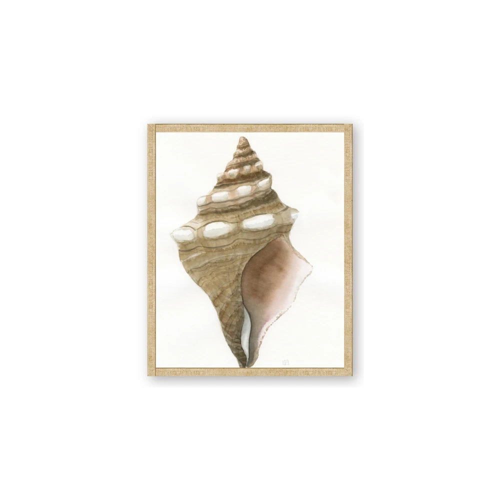 Sea Shell I