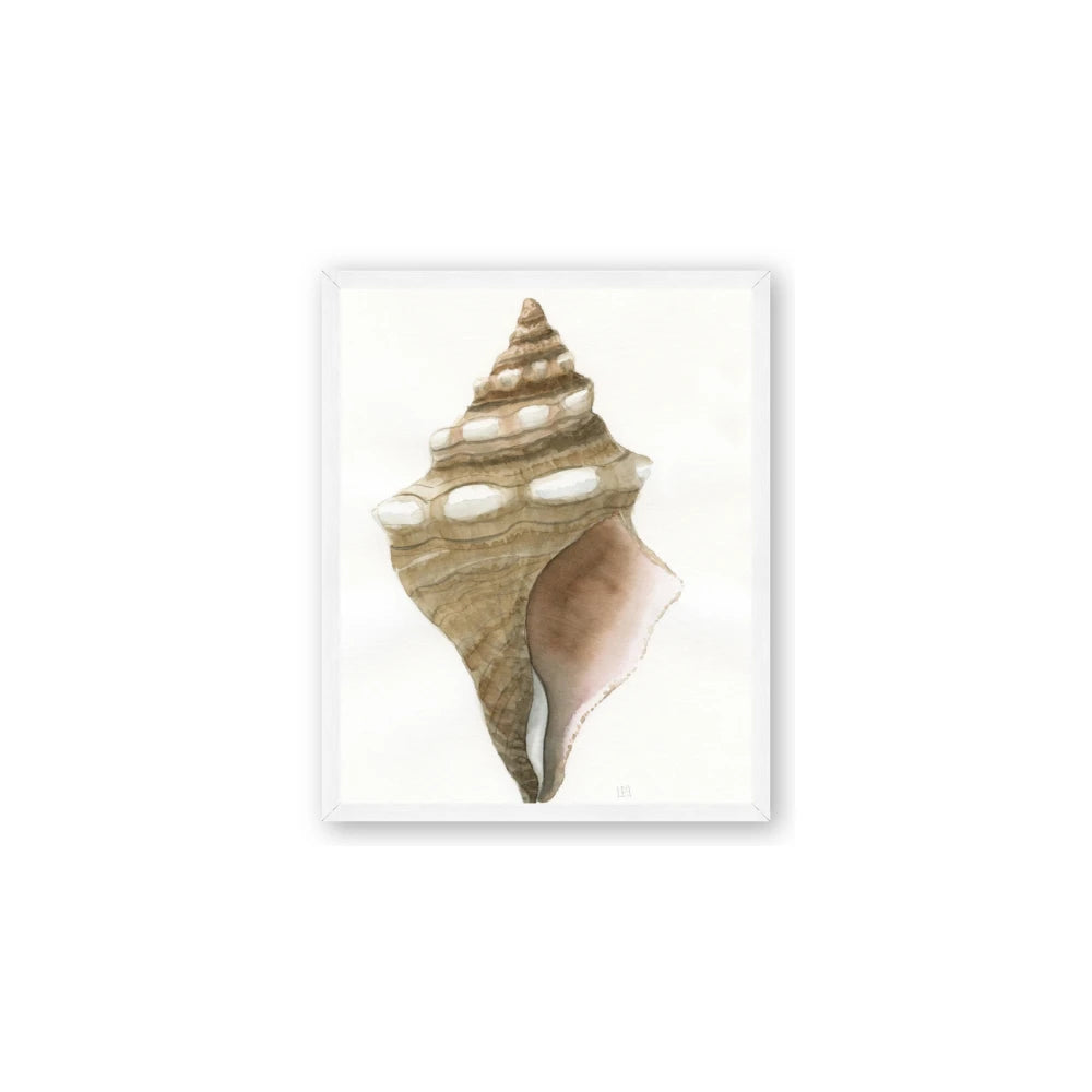 Sea Shell I