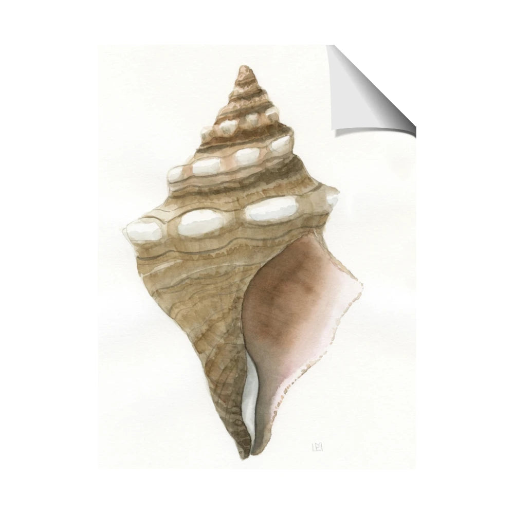 Sea Shell I