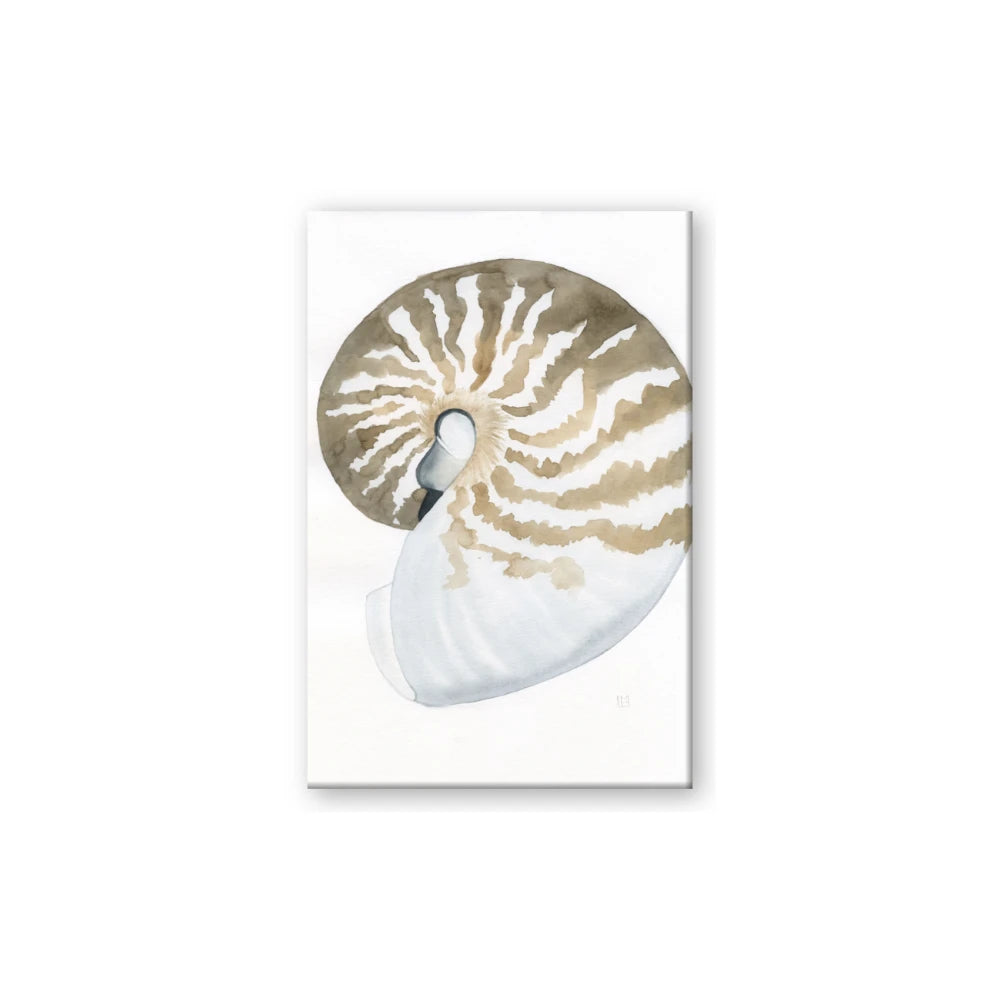 Sea Shell II