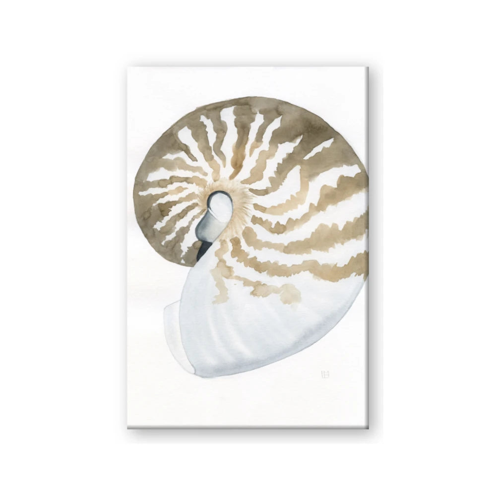 Sea Shell II