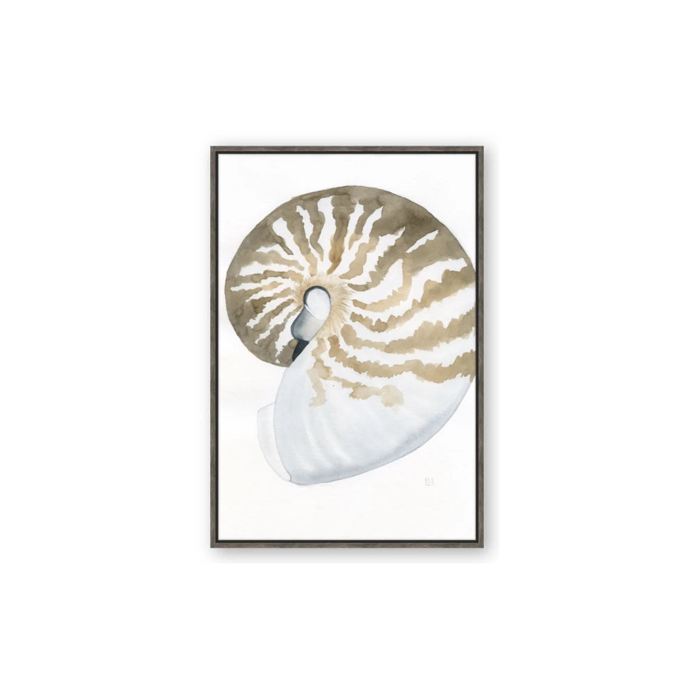 Sea Shell II