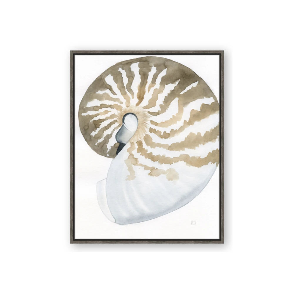Sea Shell II