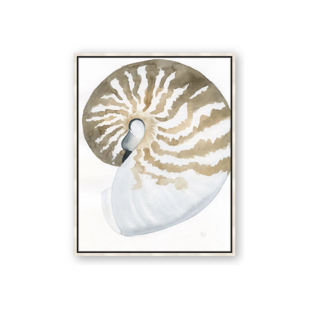 Sea Shell II