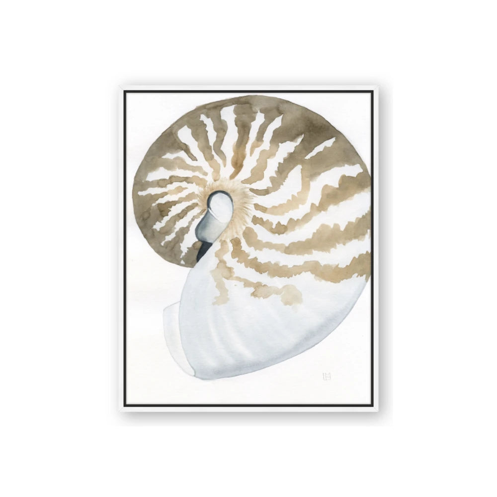 Sea Shell II
