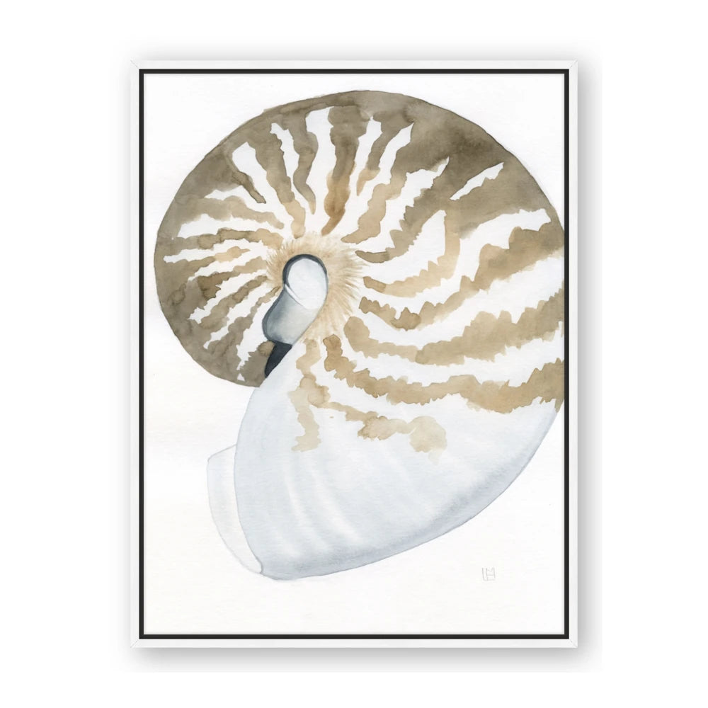 Sea Shell II