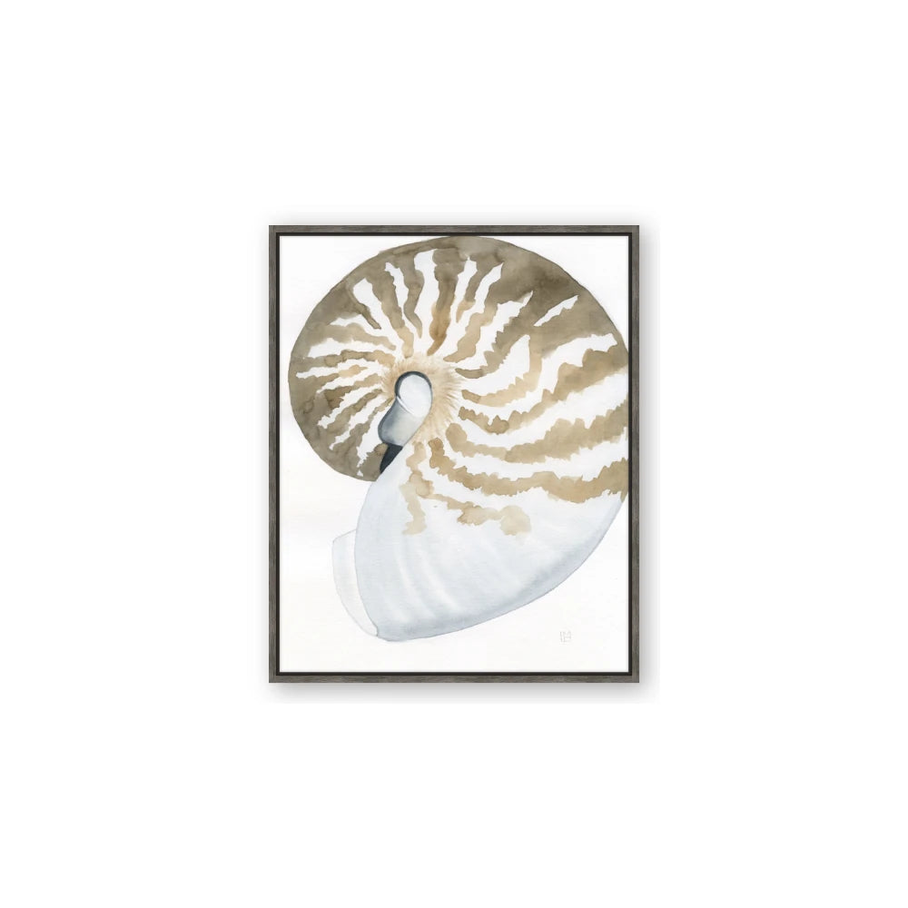 Sea Shell II