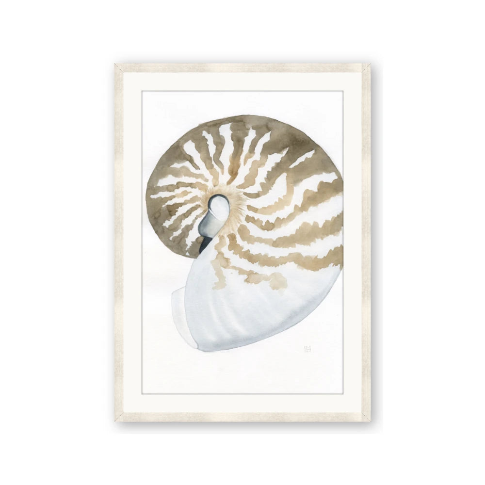 Sea Shell II