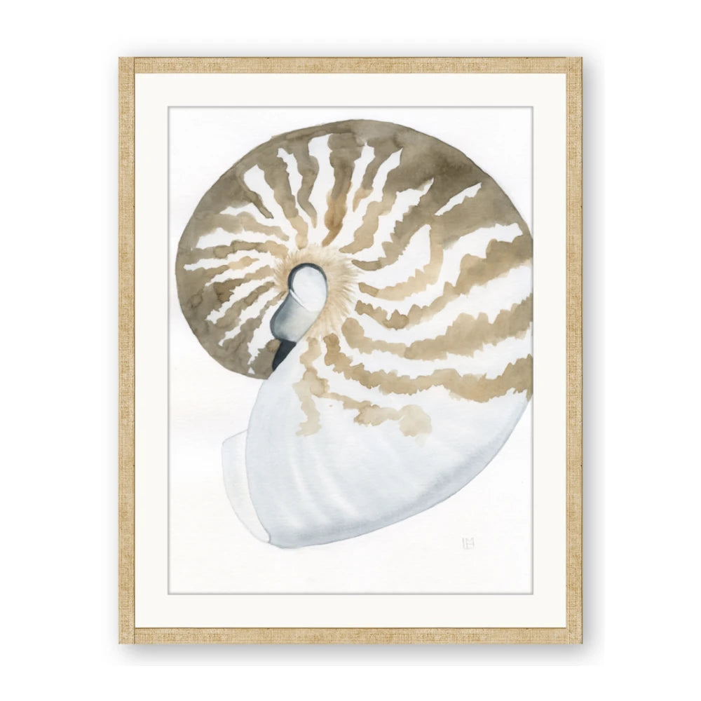 Sea Shell II