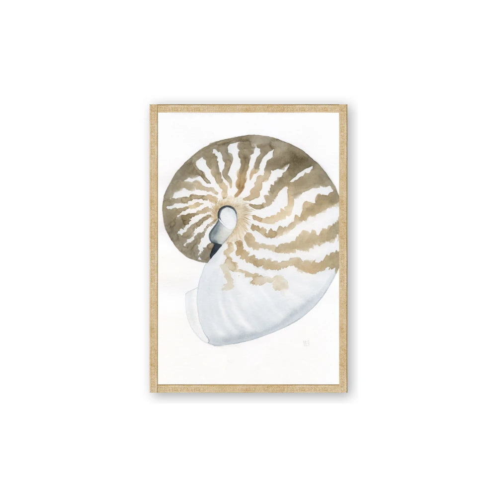 Sea Shell II