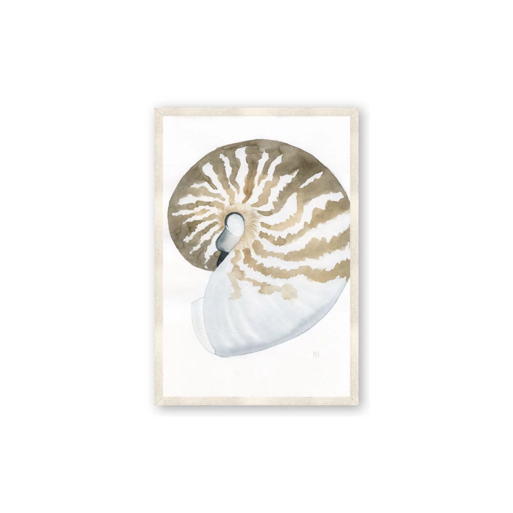 Sea Shell II