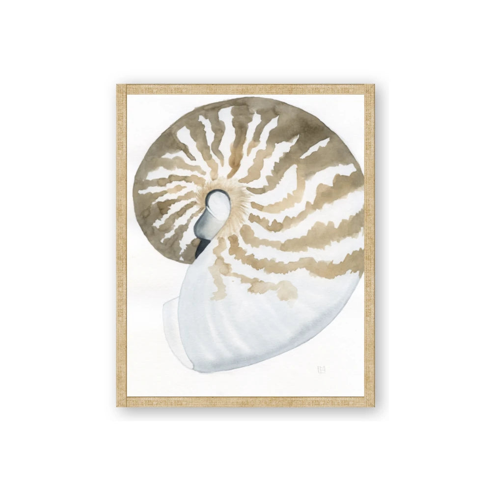 Sea Shell II