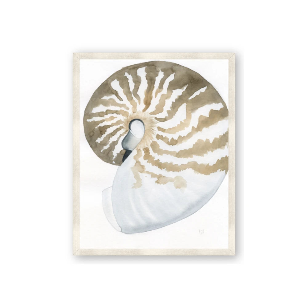 Sea Shell II