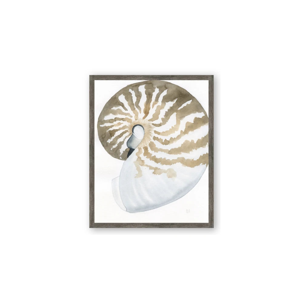 Sea Shell II