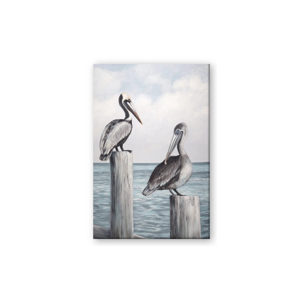 Observing Pelicans