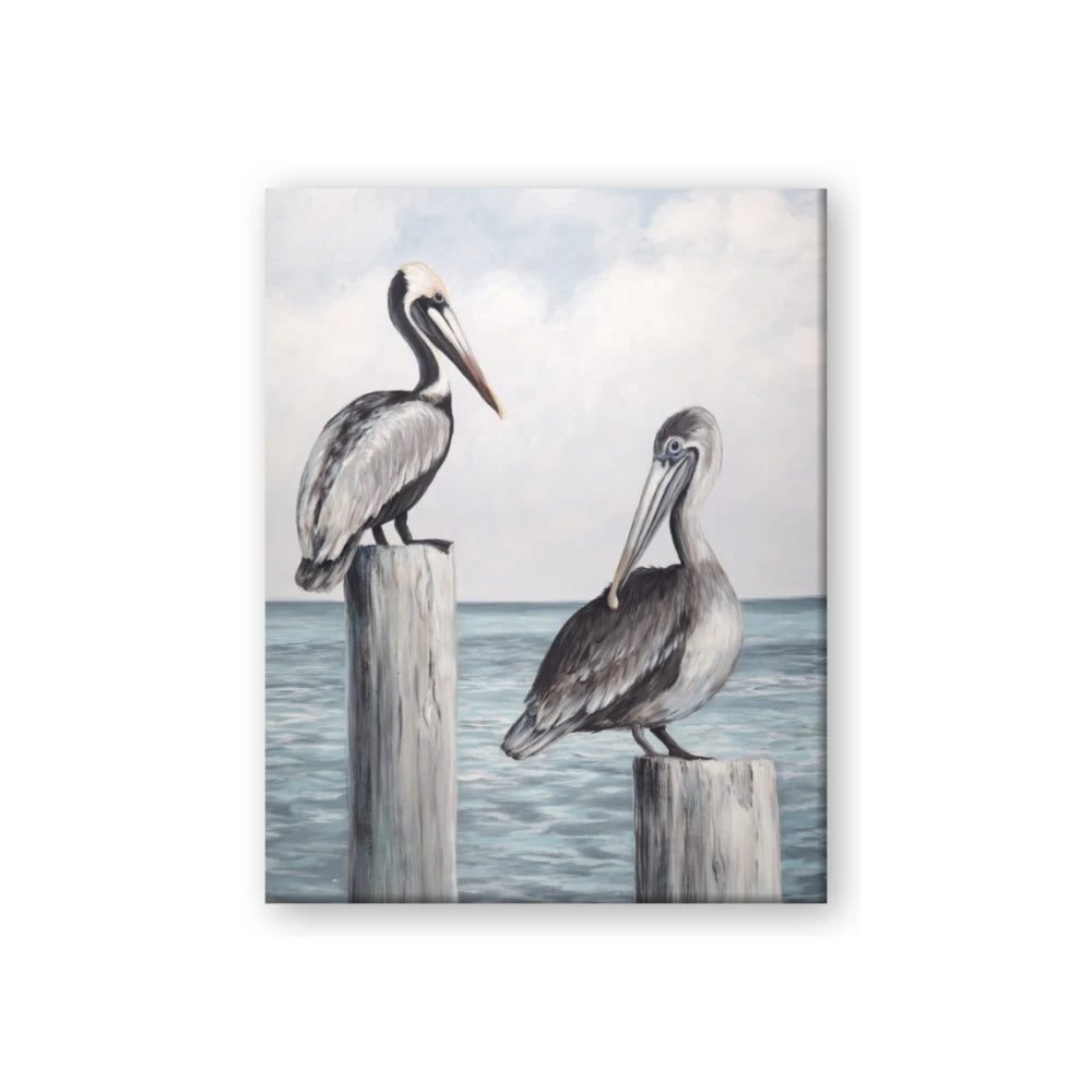 Observing Pelicans