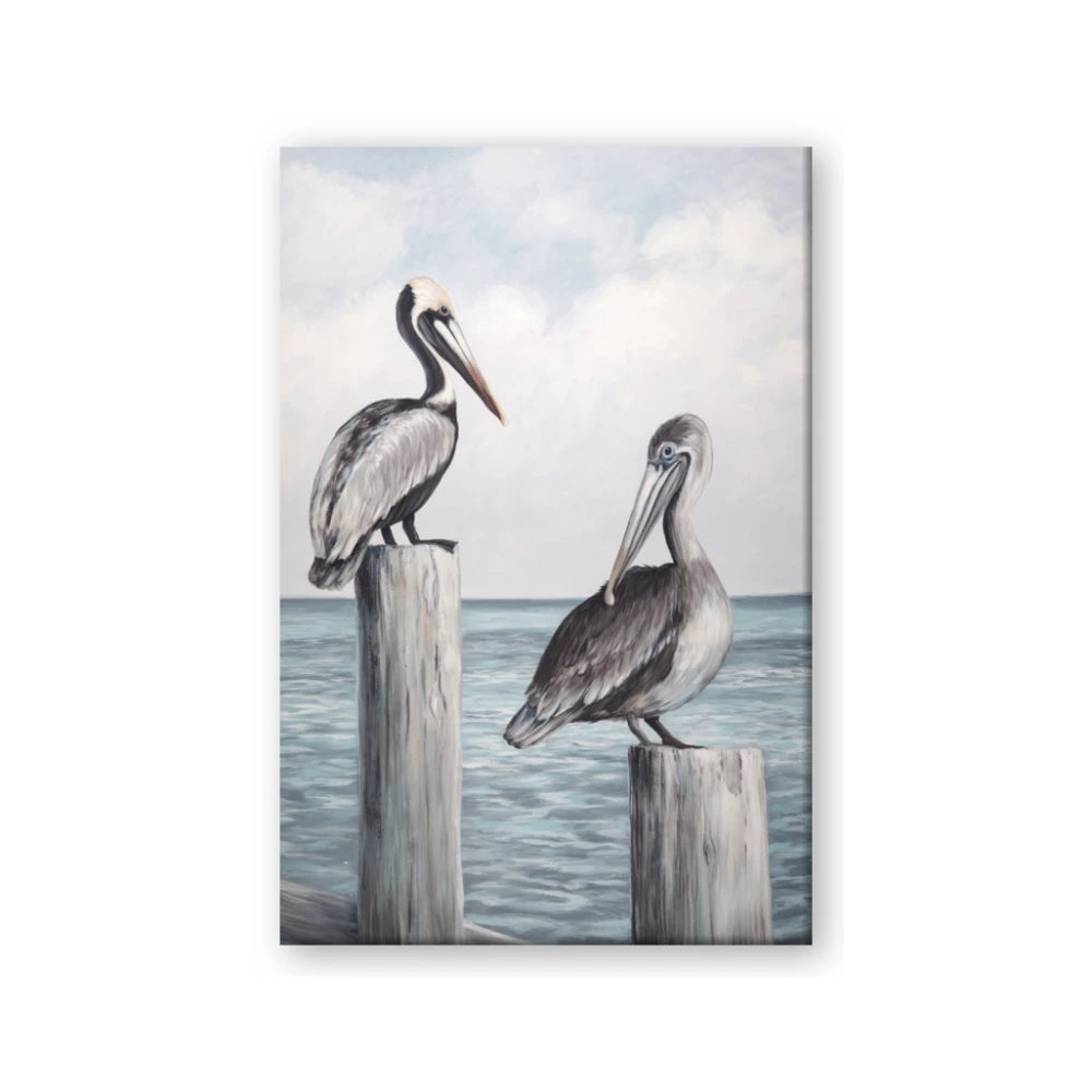 Observing Pelicans