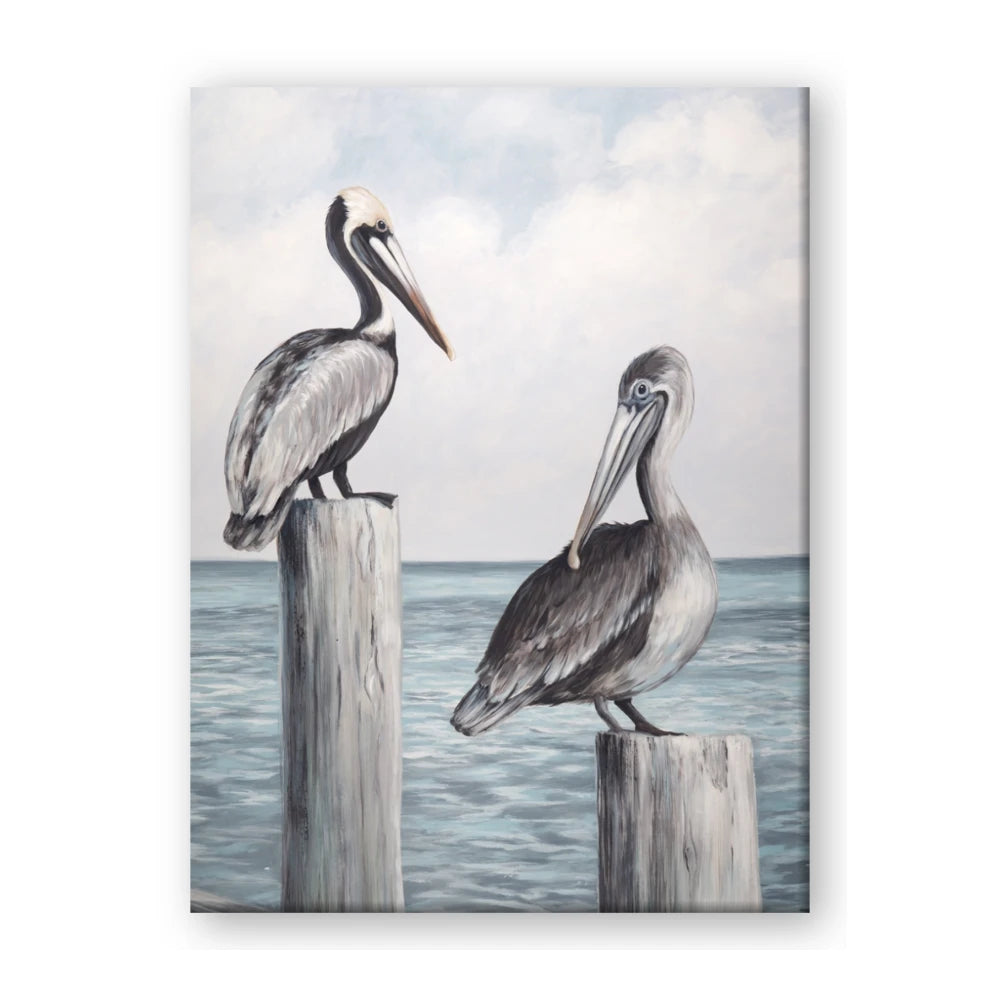 Observing Pelicans