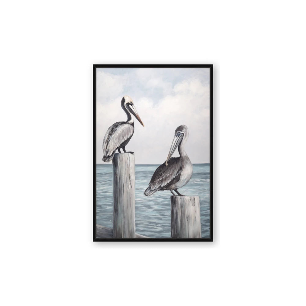Observing Pelicans
